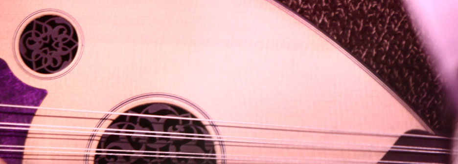 Eran Zamir live concert playing Oud close up